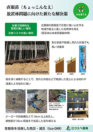 直根苗カタログ